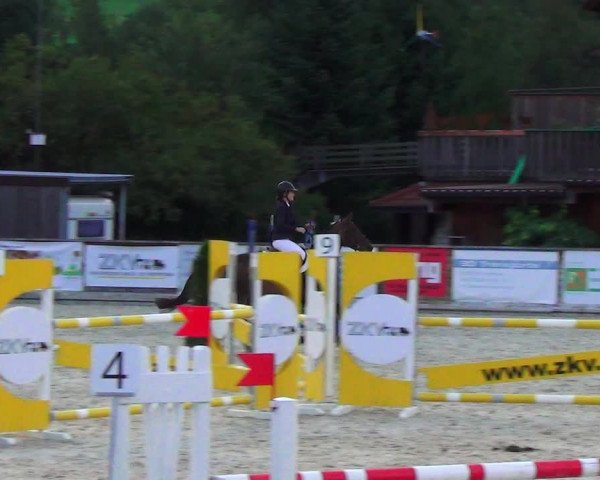 Reitturnier Schüpfheim 2023