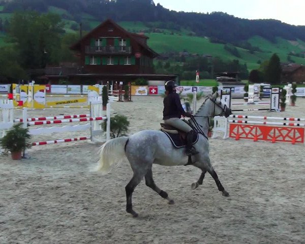 Reitturnier Schüpfheim 2023