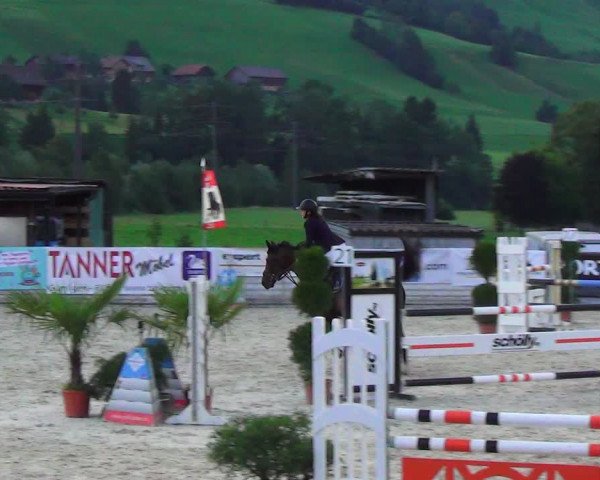 Reitturnier Schüpfheim 2023