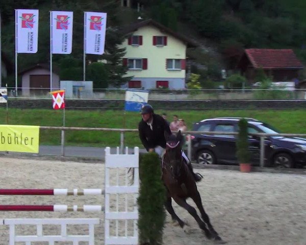 Reitturnier Schüpfheim 2023
