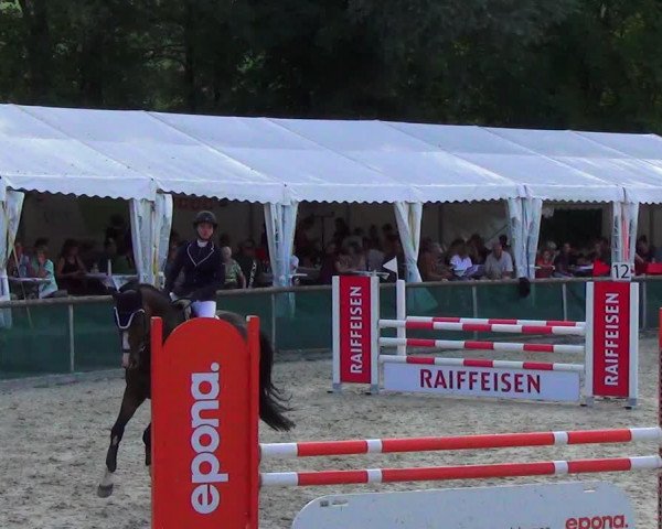 Reitturnier Schüpfheim 2023