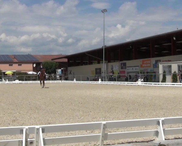 Reitturnier Dompierre 2023