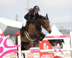 jumper Princess Blue Rose Z (Zangersheide riding horse, 2016, from Plot Blue)