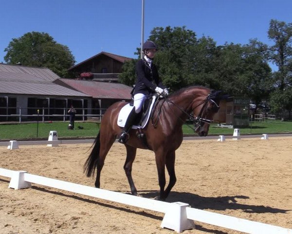 Reitturnier Ranshofen - Braunau am Inn 2023
