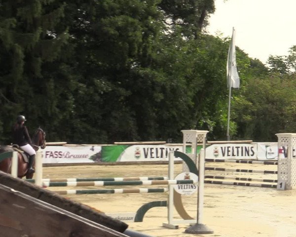 Reitturnier Vellinghausen 2023