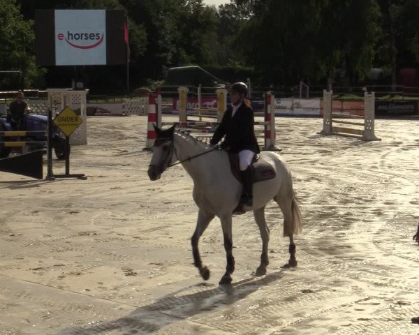Reitturnier Vellinghausen 2023