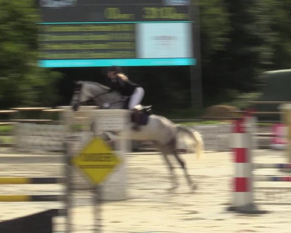 Reitturnier Vellinghausen 2023