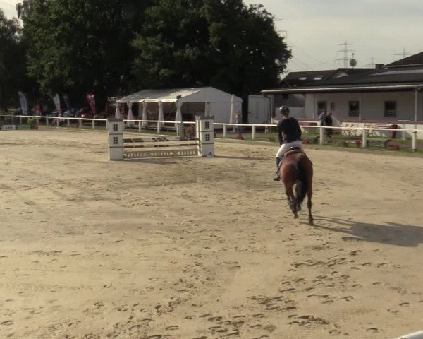 Reitturnier Vellinghausen 2023