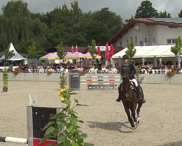 Reitturnier Grafenrheinfeld 2023