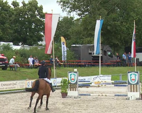 Reitturnier Grafenrheinfeld 2023