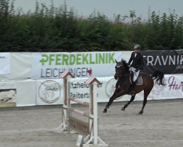 Reitturnier Leichlingen-Witzhelden 2021