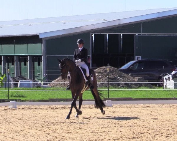 Reitturnier Ranshofen - Braunau am Inn 2023