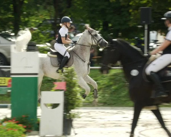 Reitturnier Oberderdingen 2023