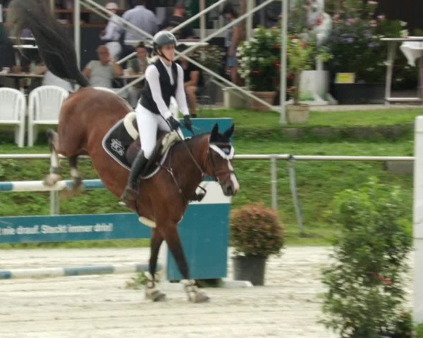 Reitturnier Oberderdingen 2023