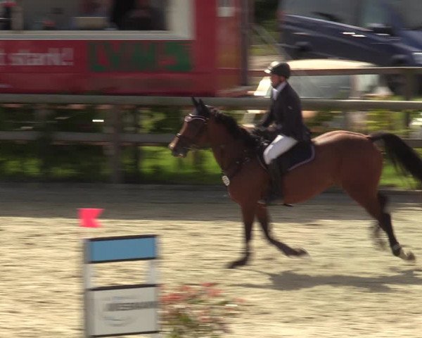 Reitturnier Münster-Amelsbüren 2023