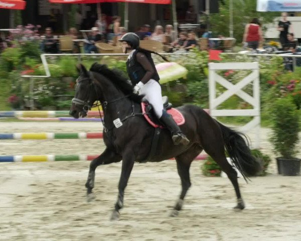 Reitturnier Oberderdingen 2023