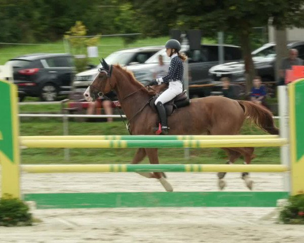 Reitturnier Oberderdingen 2023