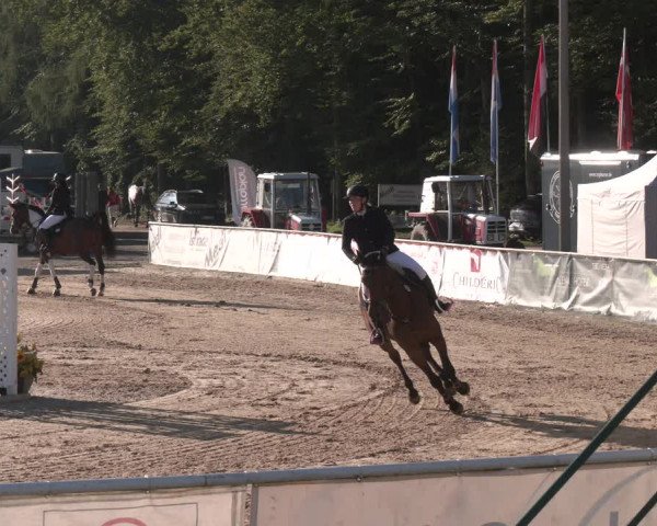 Reitturnier Ranshofen - Braunau am Inn 2023