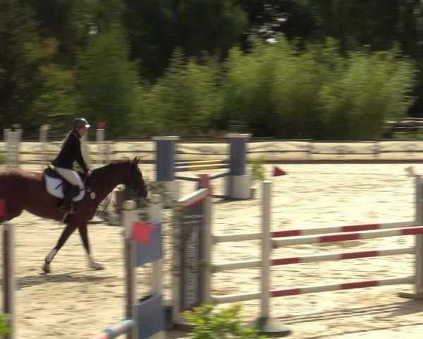 Reitturnier Vellinghausen 2023