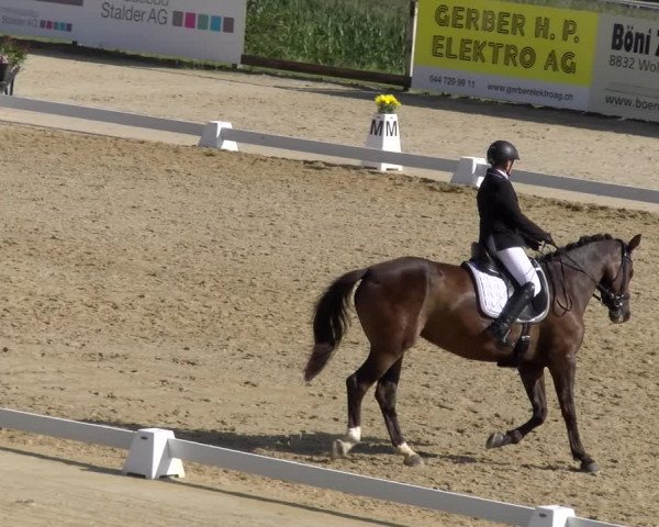 Reitturnier Wädenswil 2023