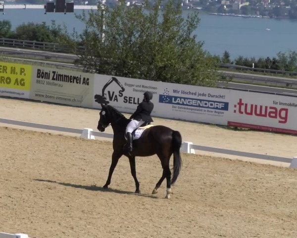 Reitturnier Wädenswil 2023