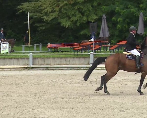 Reitturnier Grafenrheinfeld 2023