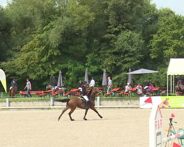 Reitturnier Grafenrheinfeld 2023
