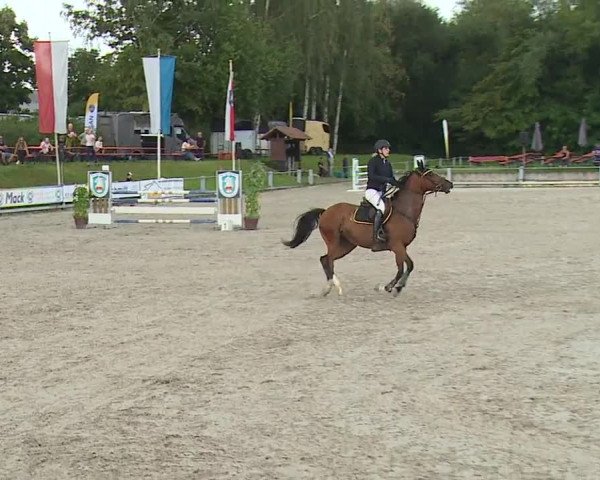 Reitturnier Grafenrheinfeld 2023