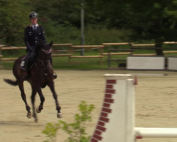 Reitturnier Vellinghausen 2023
