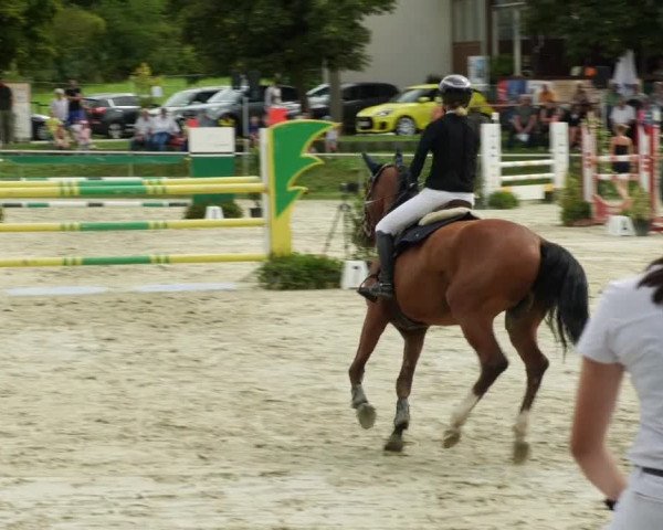 Reitturnier Oberderdingen 2023