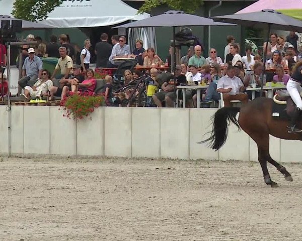 Reitturnier Grafenrheinfeld 2023
