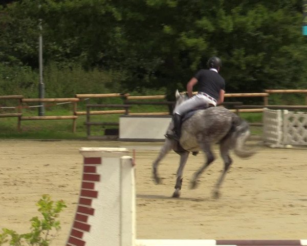 Reitturnier Vellinghausen 2023