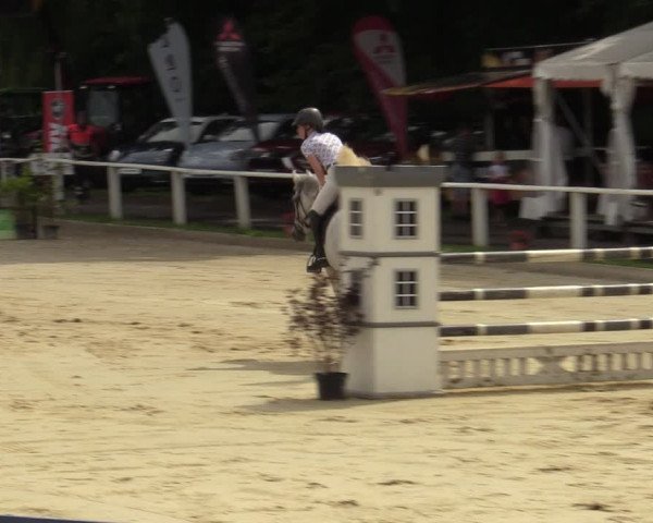 Reitturnier Vellinghausen 2023