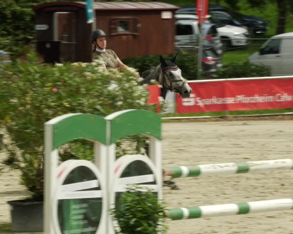Reitturnier Oberderdingen 2023