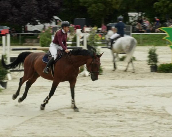 Reitturnier Oberderdingen 2023