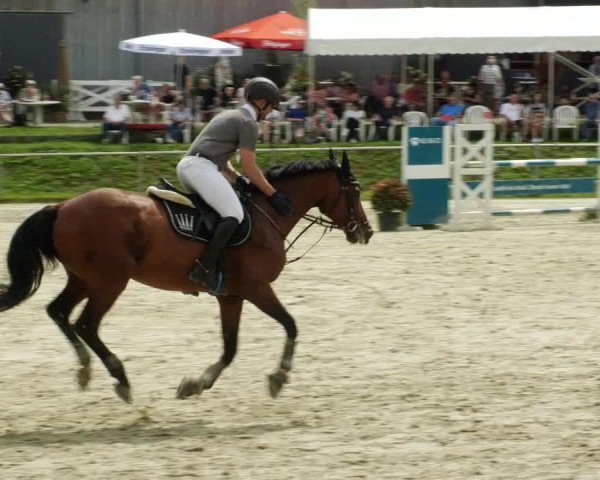 Reitturnier Oberderdingen 2023