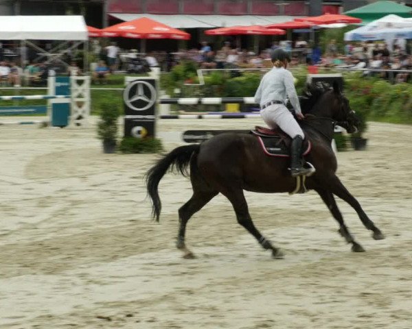 Reitturnier Oberderdingen 2023
