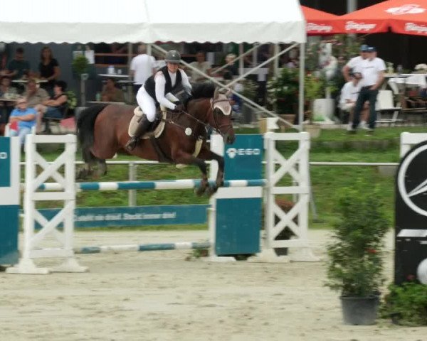 Reitturnier Oberderdingen 2023