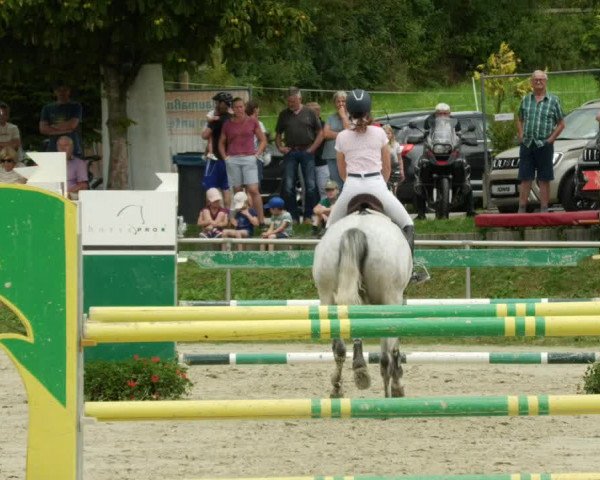 Reitturnier Oberderdingen 2023