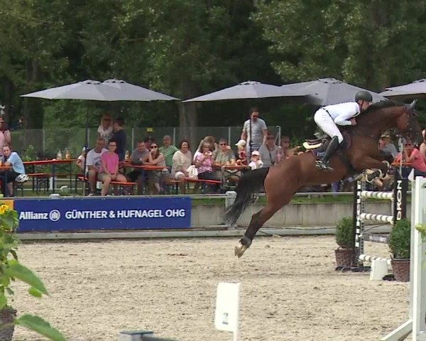 Reitturnier Grafenrheinfeld 2023