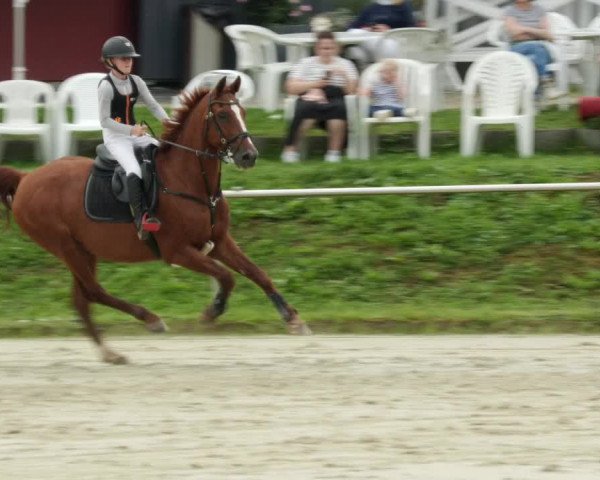 Reitturnier Oberderdingen 2023