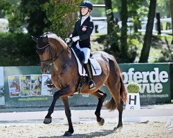 Dressurpferd Di Fürstin (Oldenburger, 2016, von Fürstenball)