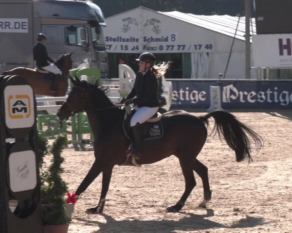 Reitturnier Ranshofen - Braunau am Inn 2023