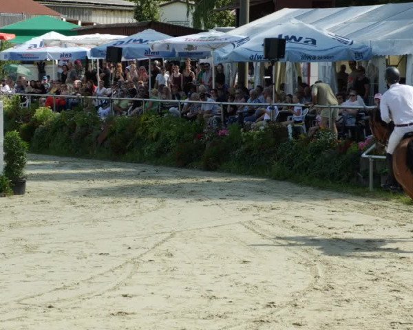 Reitturnier Oberderdingen 2023