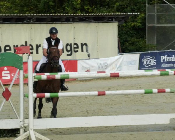 Reitturnier Oberderdingen 2023
