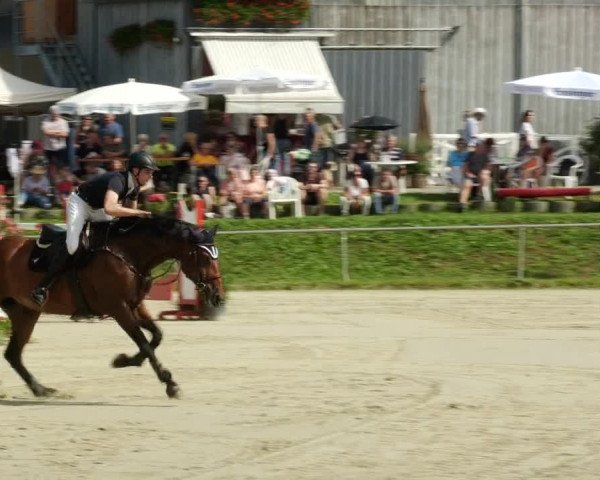 Reitturnier Oberderdingen 2023