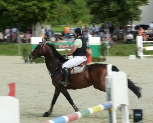 Reitturnier Oberderdingen 2023