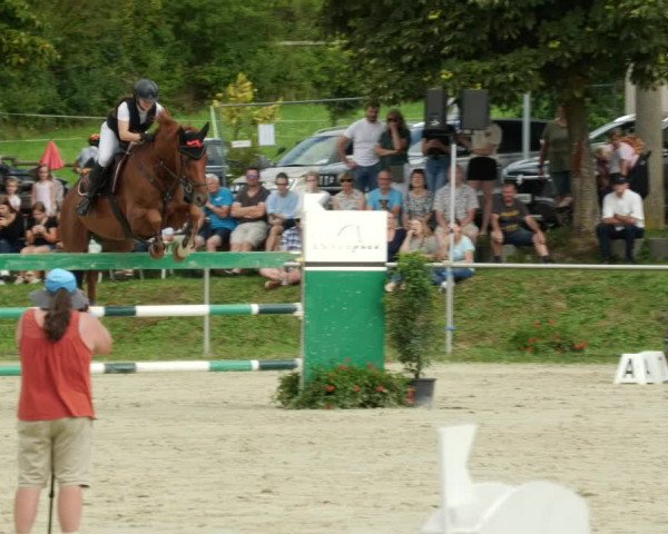 Reitturnier Oberderdingen 2023