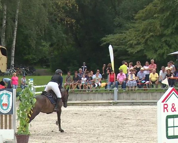 Reitturnier Grafenrheinfeld 2023