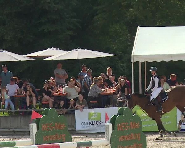 Reitturnier Grafenrheinfeld 2023